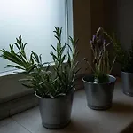 Casa Da Quinta * Вила-Франка-ду-Кампу